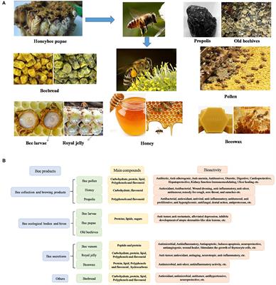 Processing Technologies for Bee Products: An Overview of Recent Developments and Perspectives